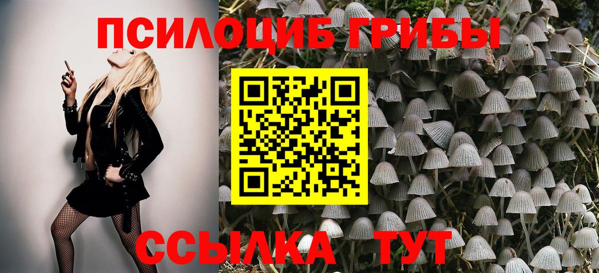 Псилоцибиновые грибы MAGIC MUSHROOMS  Вход с VPN  Каменск-Уральский 